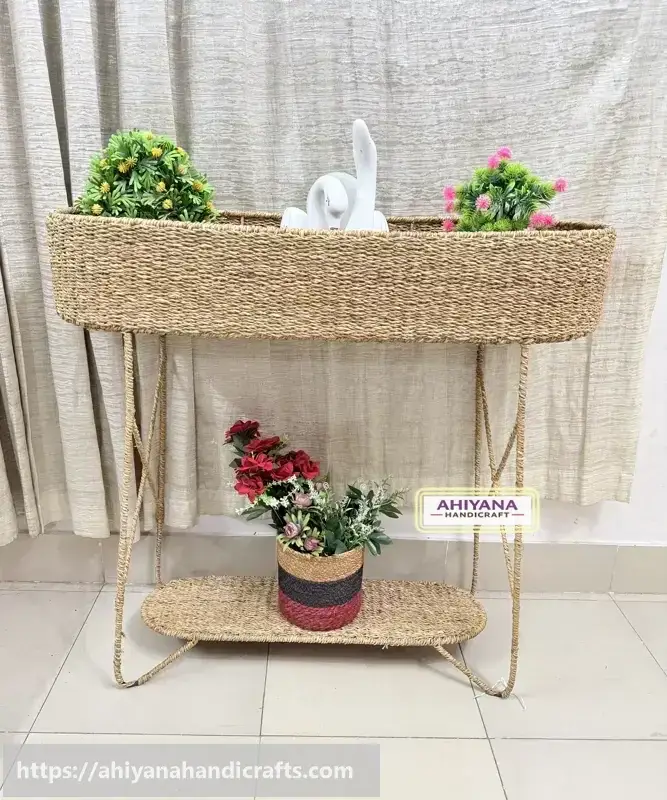 Ahiyana TV Toly